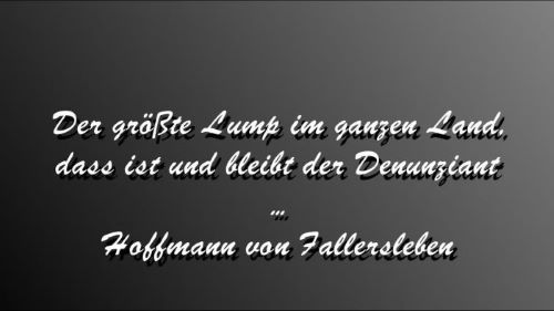 Pedo-Hunter Björn Scholz hat in diesem Jahr 4.000 Stunden in die Pädophilenjagd investiert: 2025 hat er bereits 182 Pädophile aus ganz Deutschland an die Justiz geliefert
